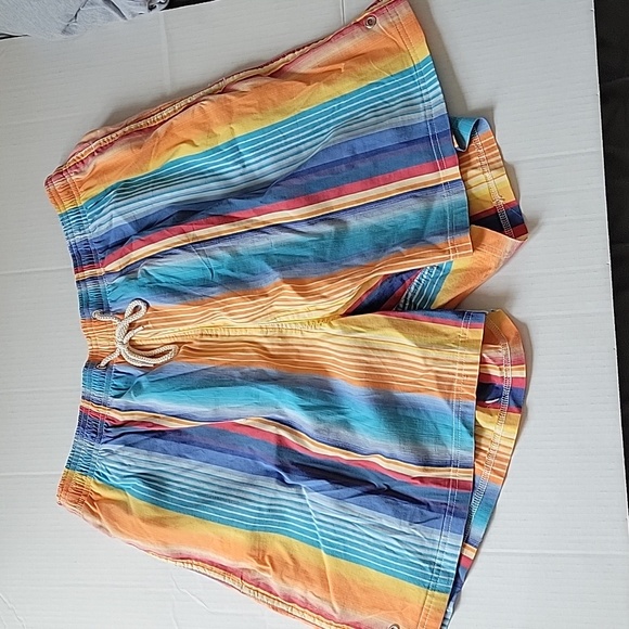 Faconnable Mens Swimtrunks Bathing Suit Multi Color Stripped Pattern Size L - Picture 2 of 10